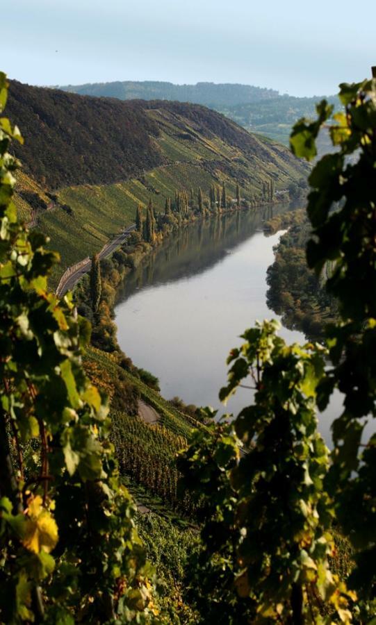 Weingut Berweiler Hotel Klusserath Екстериор снимка